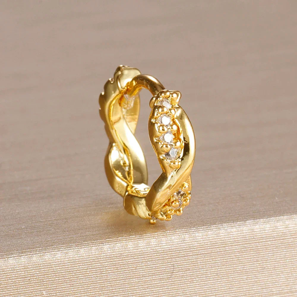 Stainless Steel Round Circle Earrings for Women - Piña Colada